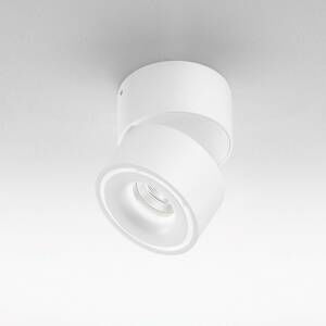 Egger Licht Egger Clippo LED lištová bodovka dim-to-warm bílá