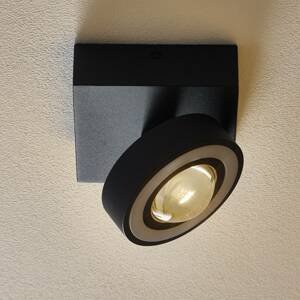Q-Smart-Home Paul Neuhaus Q-MIA LED stropní světlo antracit