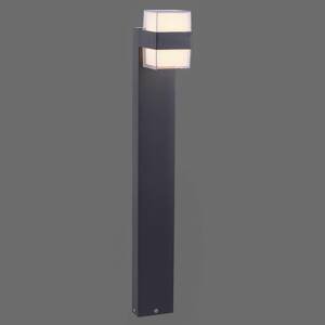 Paul Neuhaus Paul Neuhaus Cara LED osvětlení cesty up/down