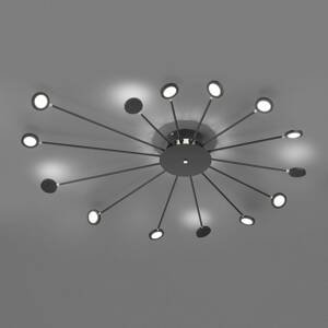 Trio Lighting LED stropní svítidlo Peacock, 15 zdrojů, černá