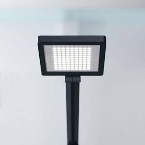 Waldmann LED stolní lampa PARA.MI FTL 108 R černá 930