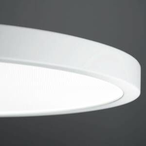 Waldmann LED závěsné VIVAA 2.0 Ø60cm kabel bílý 4 000K