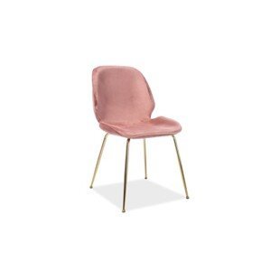 Signal Židle ADRIEN Velvet | zlaté nohy Barva: Bluvel 52 / růžová