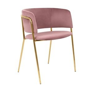 ArtKing Jídelní židle DELTA Barva: Růžová