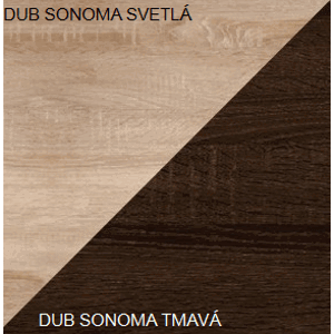 ARTBm Závěsná police VIKI | 02 Barva: Dub sonoma světlá / dub sonoma tmavá