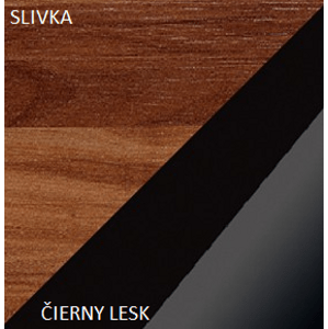 ARTBm Skříň MAX 05 Barva: Švestka / černý lesk