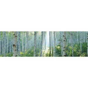 OBRAZ NA AKRYLOVÉM SKLE, stromy, 50/180/1,70 cm
