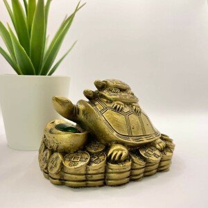 Šoška Feng Shui - Rodina želv s ingotem