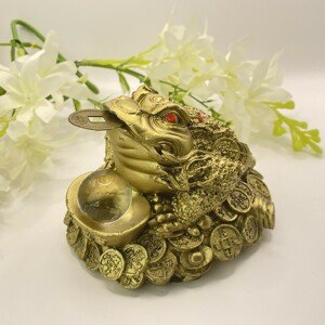Šoška Feng Shui - Třínohá žába s perlou