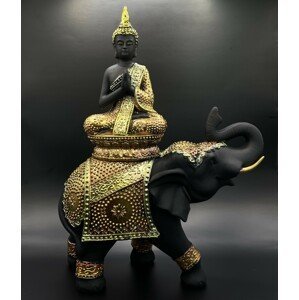Soška Feng Shui - Buddha na slonovi