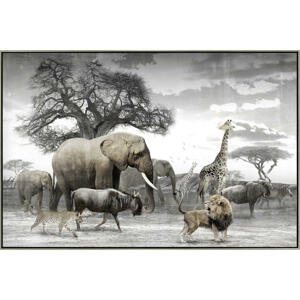 Monee UMĚLECKÝ TISK, zvířata, 120/70 cm - hnědá, šedá, bílá