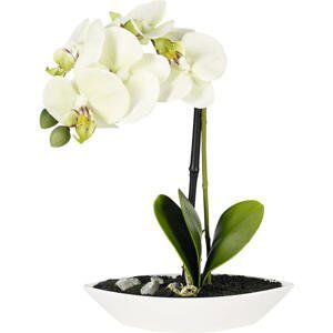 ORCHIDEJ orchidej 28 cm