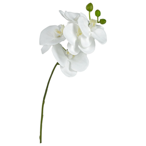 UMĚLÁ KVĚTINA, orchidej - bílá