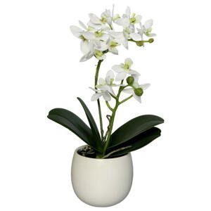 UMĚLÁ KVĚTINA orchidej 34 cm - zelená, bílá