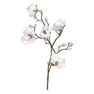 MAGNOLIE 80 cm