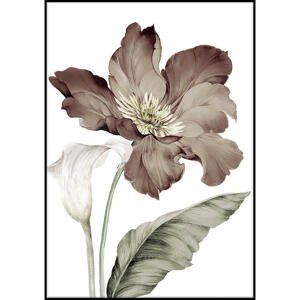 Monee OBRAZ NA PLÁTNĚ, květiny, 50/70 cm