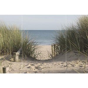 OBRAZ SKLENĚNÝ, pláž & moře, 80/120/1,40 cm - vícebarevná