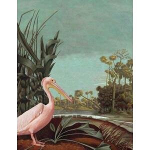 Vliesová obrazová tapeta - ptáci, pelikán, příroda 158948, 200x279cm, Paradise, Esta
