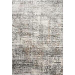 Kusový koberec Axel šedobéžový 240X330 240x330cm