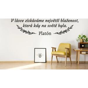 Lepy.cz Samolepka na zeď Platón citát Velikost (šířka x výška): l70x41cm, Barevná varianta: Tmavě šedivá