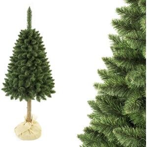 Vánoční stromek Borovice na pníku 180 cm