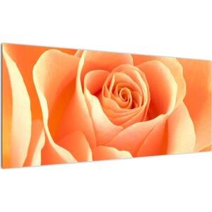 Obraz oranžové růže (100x40cm)