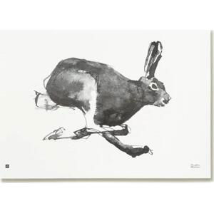 Plakát Mountain Hare 70x50