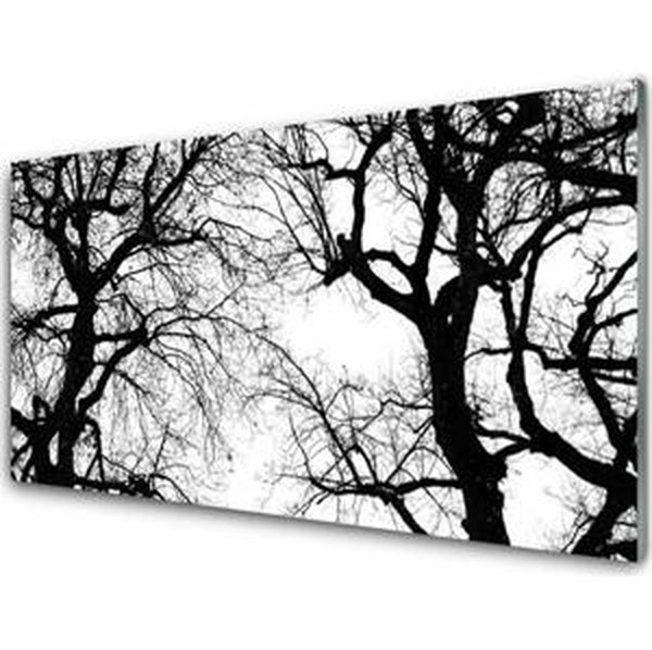 Obraz na skle Stromy Příroda Černobílý 140x70 cm