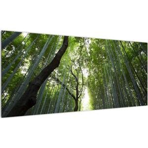Obraz lesů (100x40cm)