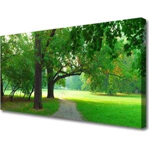 Obraz na plátně Stezka Stromy Příroda 140x70 cm