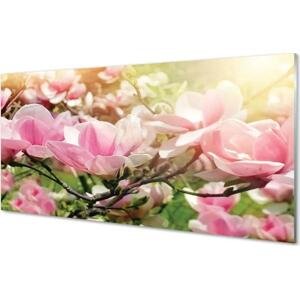 Skleněný panel květiny 100x50 cm
