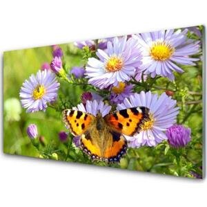 akrylový obraz Květiny Motýl Příroda 100x50 cm