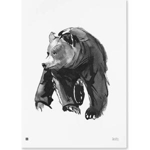Plakát Gentle Bear 50x70