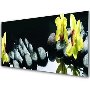 Kuchyňský skleněný panel Květ Kameny 140x70 cm