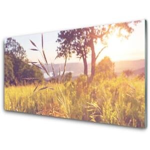 akrylový obraz Louka Tráva Strom Příroda 125x50 cm