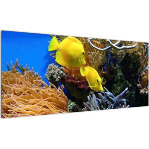 Podmořský svět - obraz (100x40cm)