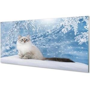 Obraz na skle kočka zima 100x50 cm