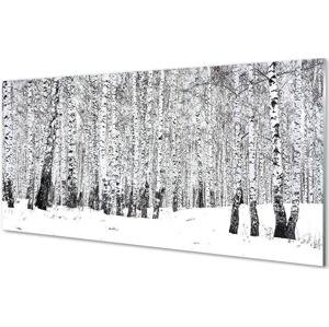 akrylový obraz Zimní břízy 100x50 cm