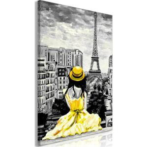 Obraz - Barva Paříže - žlutá 80x120