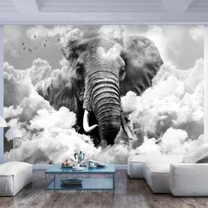 Fototapeta - Slon v oblacích (černobílý) 350x245 + zdarma lepidlo