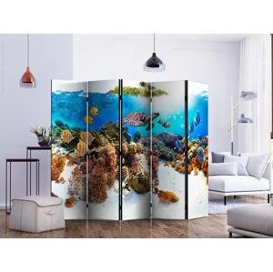 Pokojová zástěna Korálový útes II (5dílný) - barevní ryby a rostliny na mořském dně