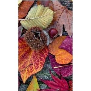 DIMEX | Vliesová fototapeta na zeď Podzimní listí MS-2-0112 | 150 x 250 cm | vícebarevná