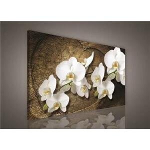 Obraz na plátně bílá orchidej na dřevěném srdci 100 x 75 cm