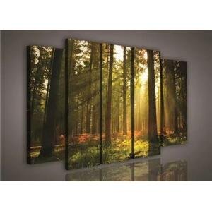 Obraz na plátně les s východem slunce 150 x 100 cm