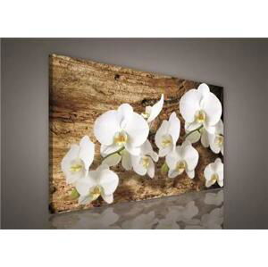 Obraz na plátně bílá orchidej na dřevě 100 x 75 cm