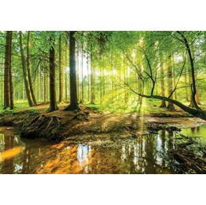 Fototapety, rozměr 368 cm x 254 cm, les a potok, IMPOL TRADE 10513 P8