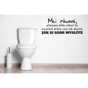 Lepy.cz Samolepka na zeď WC - Milí pánové Velikost (šířka x výška): 45x17cm, Barevná varianta: Černá