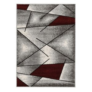 Kusový koberec PHOENIX 3016-0564 120x170 cm