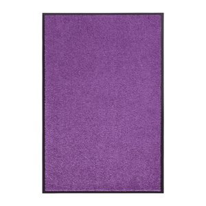 Bytová rohož Hanse Home Wash & Clean 103838 Violett 120x180 cm