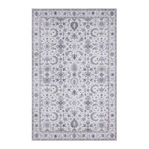 Kusový koberec Nouristan Asmar 104006 Platinum grey 200x290 cm